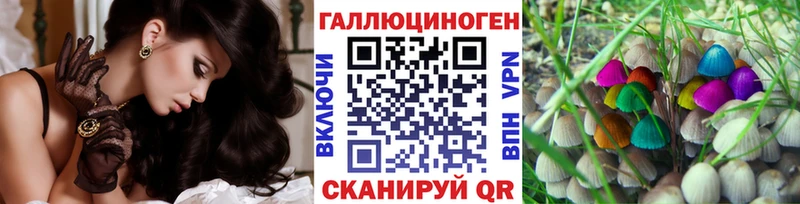 omg ссылка  купить наркотики сайты  Гаврилов Посад  Псилоцибиновые грибы GOLDEN TEACHER 